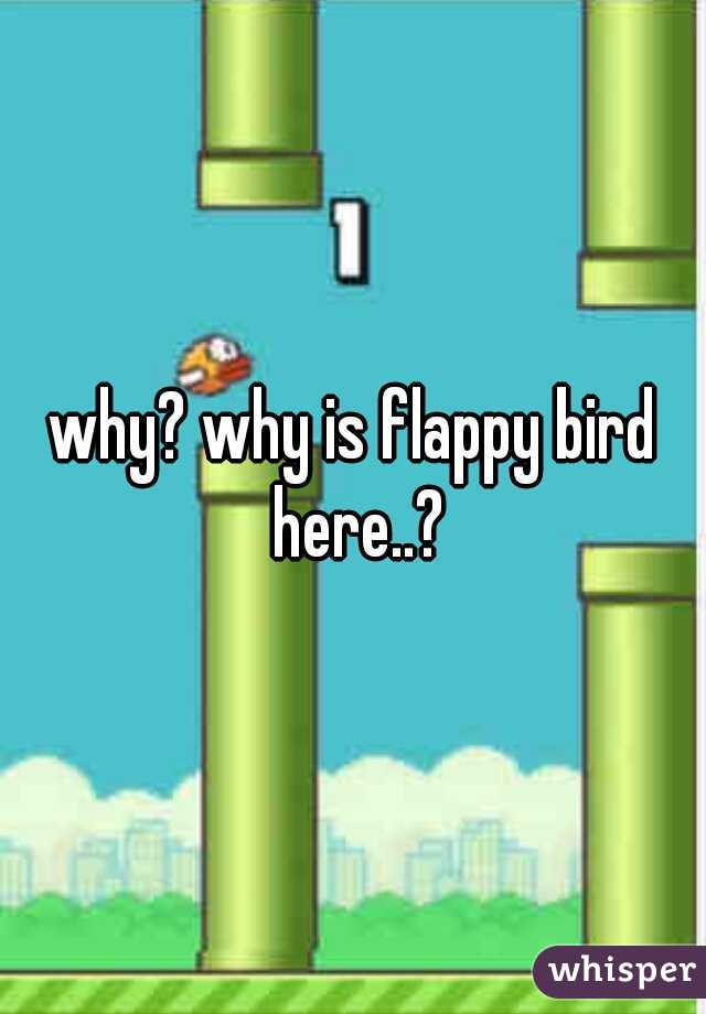 why? why is flappy bird here..?