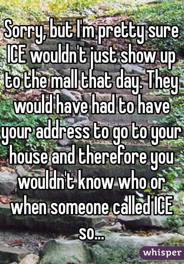 Sorry, but I'm pretty sure ICE wouldn't just show up to the mall that day. They would have had to have your address to go to your house and therefore you wouldn't know who or when someone called ICE so...