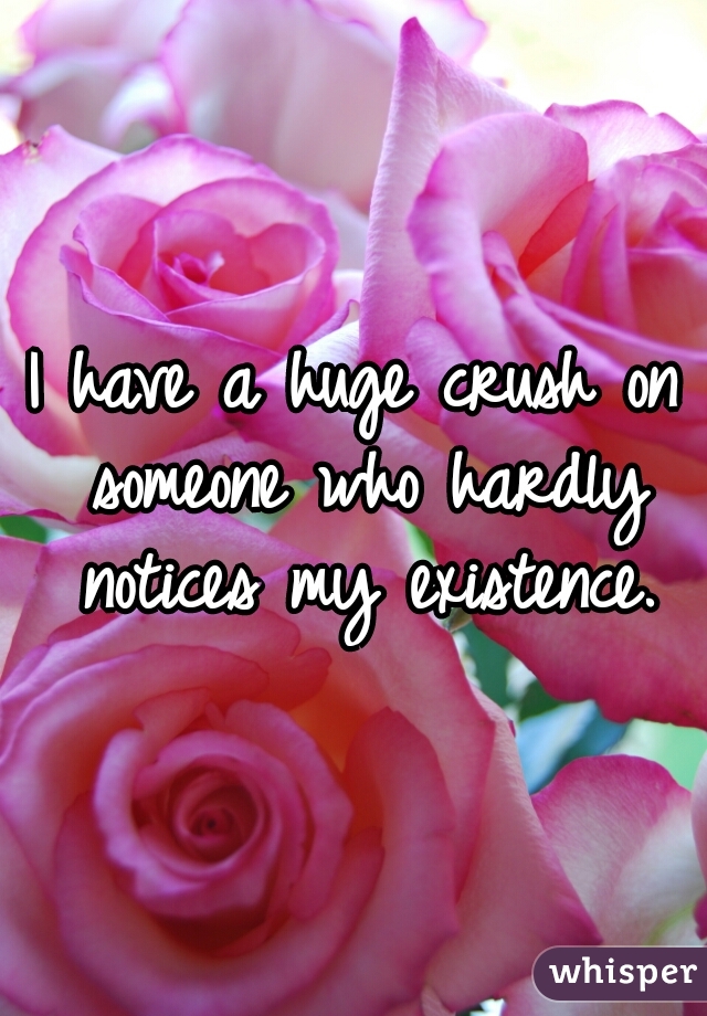 I have a huge crush on someone who hardly notices my existence.