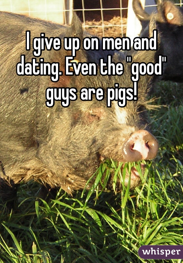 I give up on men and dating. Even the "good" guys are pigs!