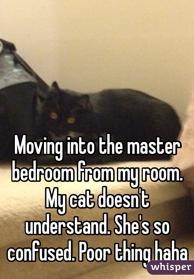 Moving into the master bedroom from my room. My cat doesn't understand. She's so confused. Poor thing haha