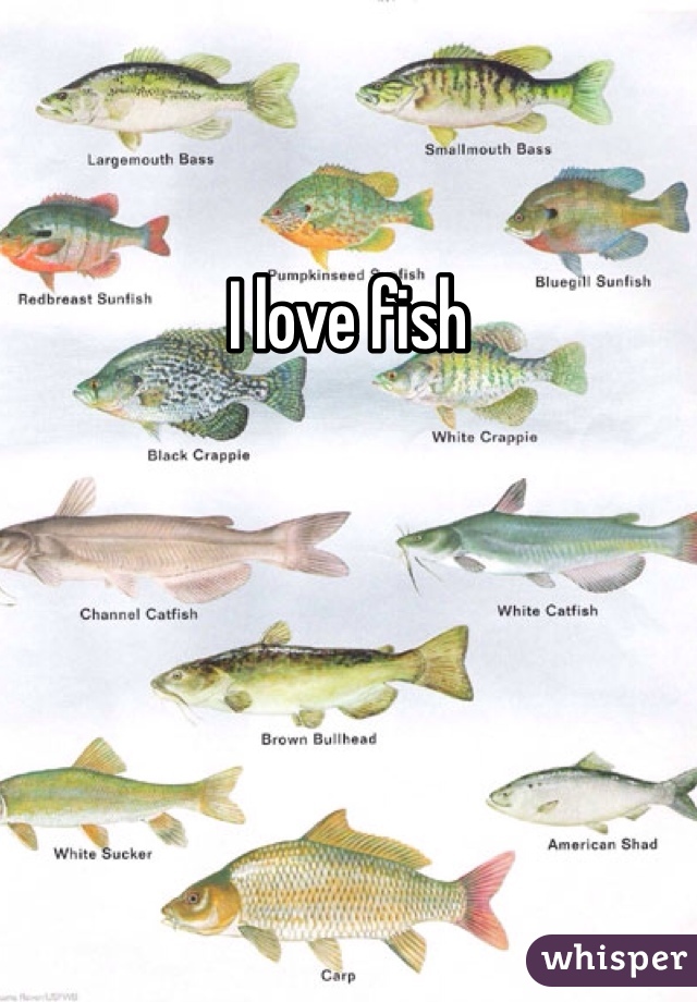 I love fish