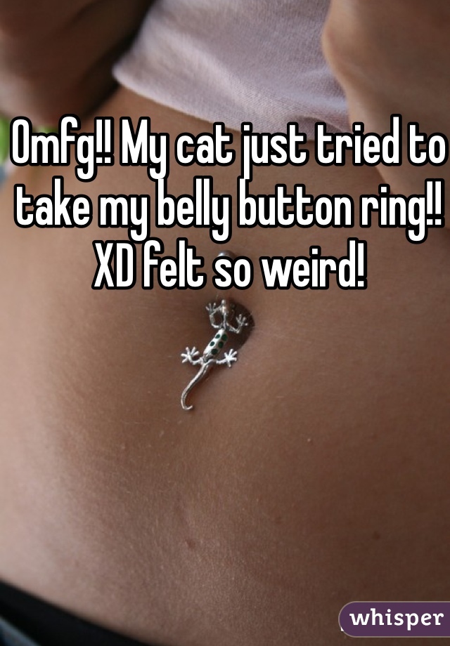 Omfg!! My cat just tried to take my belly button ring!! XD felt so weird!
