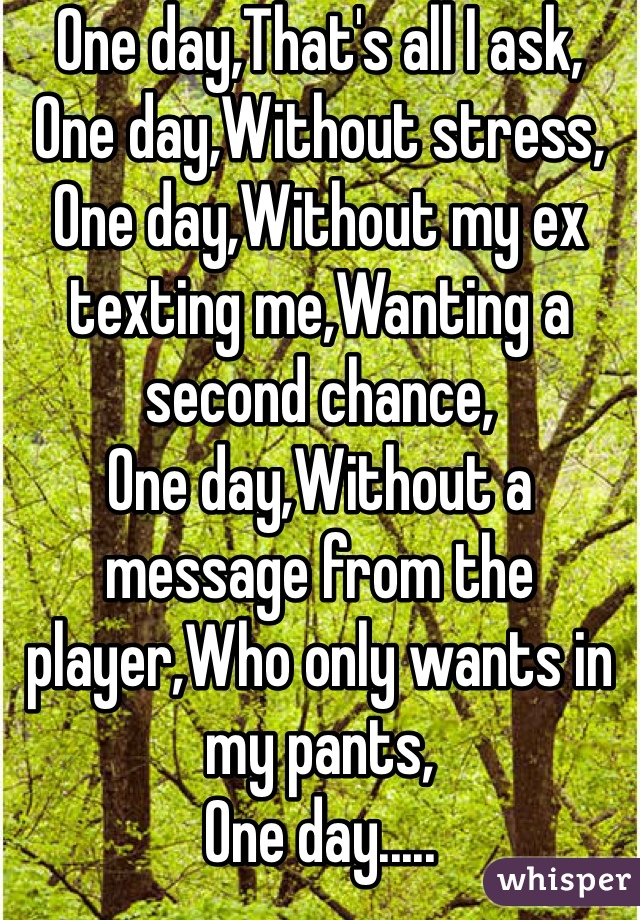 One day,That's all I ask,
One day,Without stress,
One day,Without my ex texting me,Wanting a second chance,
One day,Without a message from the player,Who only wants in my pants,
One day.....