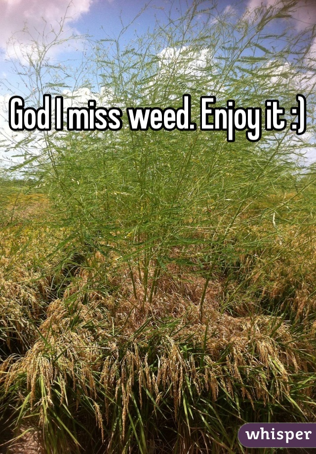 God I miss weed. Enjoy it :)