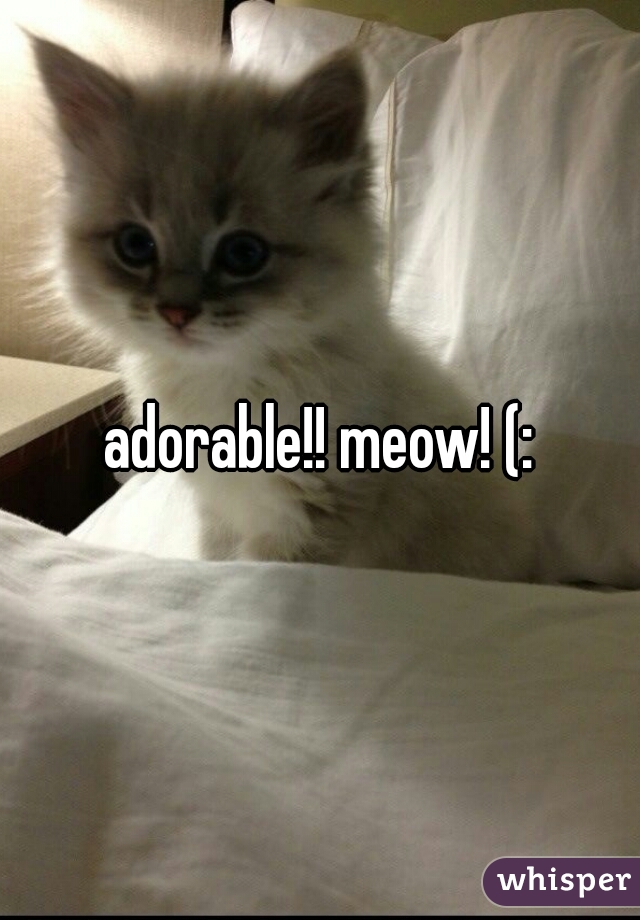 adorable!! meow! (: