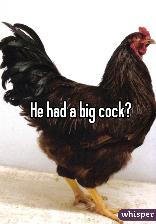 

He had a big cock?