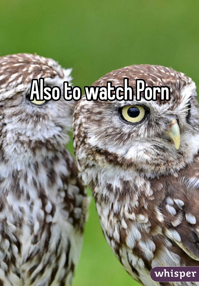 Also to watch Porn