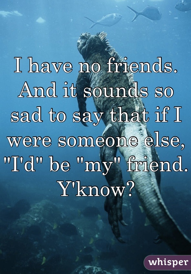 I have no friends. And it sounds so sad to say that if I were someone else, "I'd" be "my" friend. Y'know?