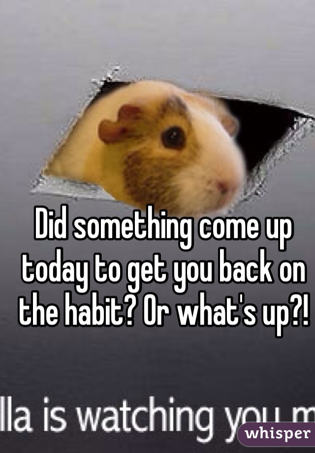 Did something come up today to get you back on the habit? Or what's up?!