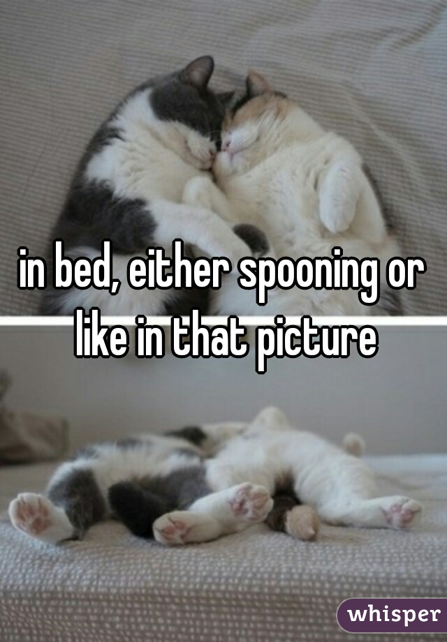 in bed, either spooning or like in that picture