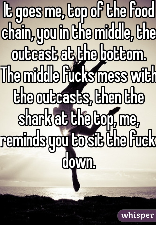 It goes me, top of the food chain, you in the middle, the outcast at the bottom. The middle fucks mess with the outcasts, then the shark at the top, me, reminds you to sit the fuck down. 