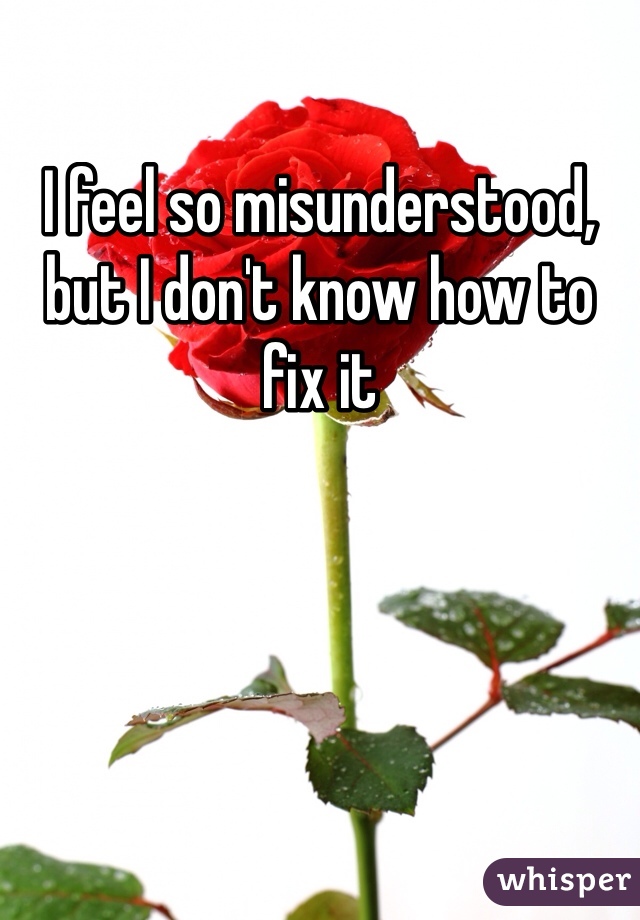 I feel so misunderstood, but I don't know how to fix it 