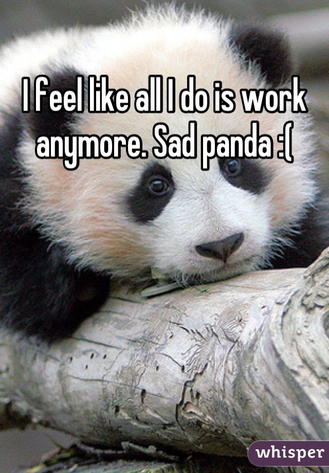 I feel like all I do is work anymore. Sad panda :(