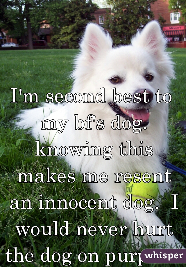 I'm second best to my bf's dog. knowing this makes me resent an innocent dog.  I would never hurt the dog on purpose.
