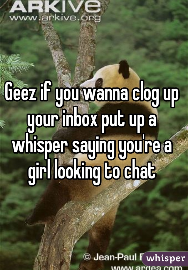 Geez if you wanna clog up your inbox put up a whisper saying you're a girl looking to chat