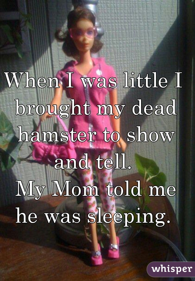 When I was little I brought my dead hamster to show and tell. 
 My Mom told me he was sleeping. 