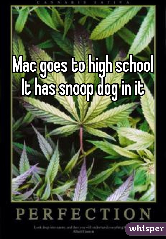 Mac goes to high school 
It has snoop dog in it
