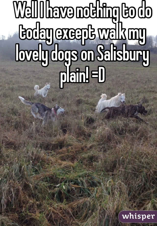 Well I have nothing to do today except walk my lovely dogs on Salisbury plain! =D