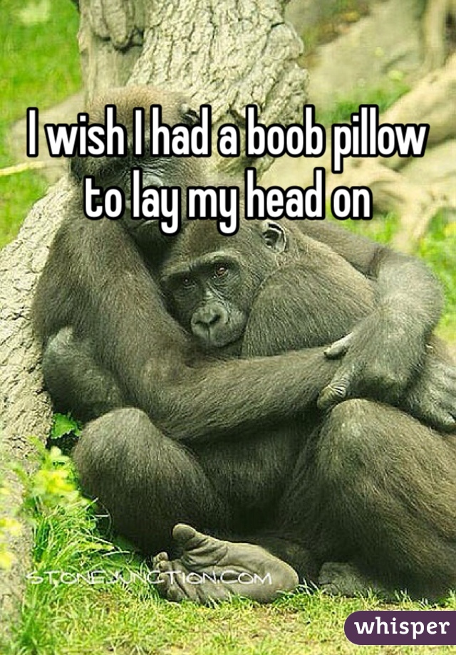 I wish I had a boob pillow to lay my head on 