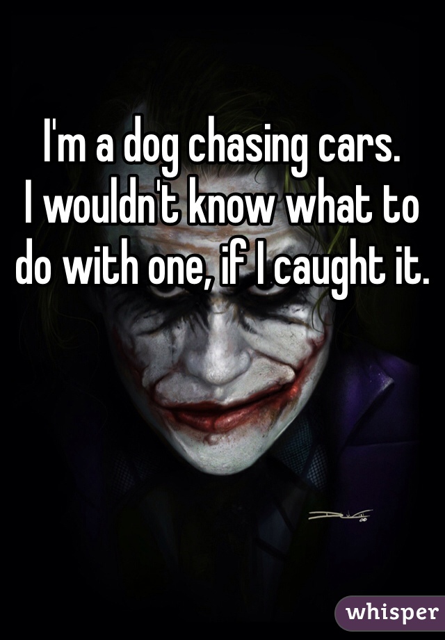 I'm a dog chasing cars.
I wouldn't know what to do with one, if I caught it. 