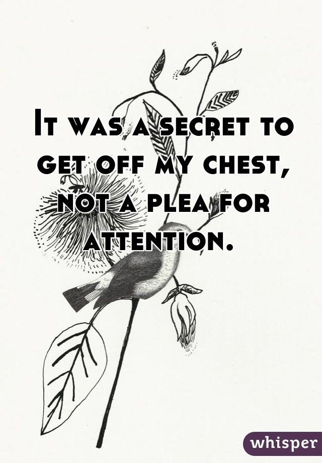 It was a secret to get off my chest, not a plea for attention. 