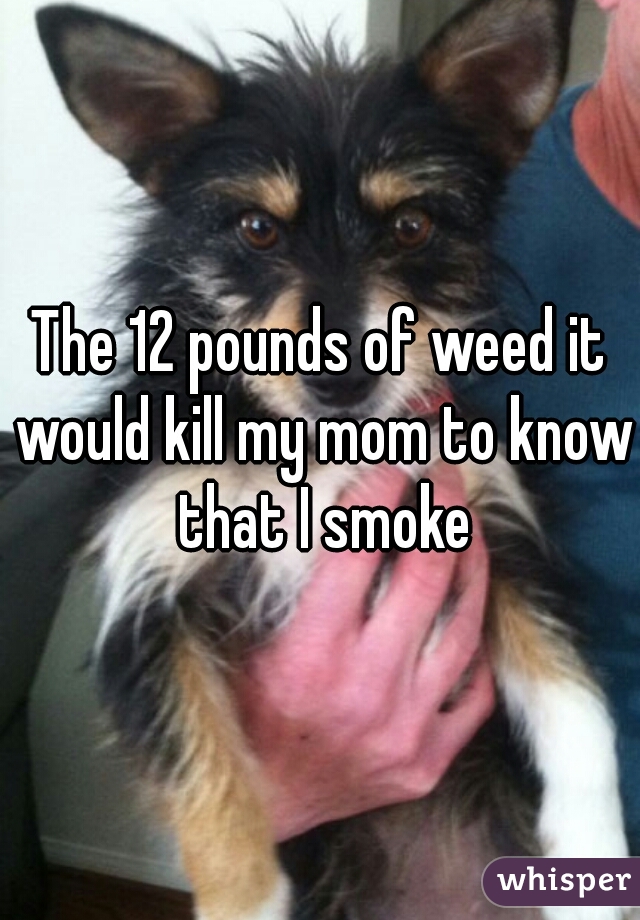 The 12 pounds of weed it would kill my mom to know that I smoke