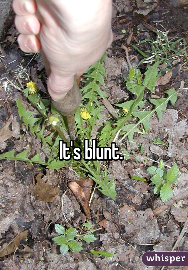 It's blunt.