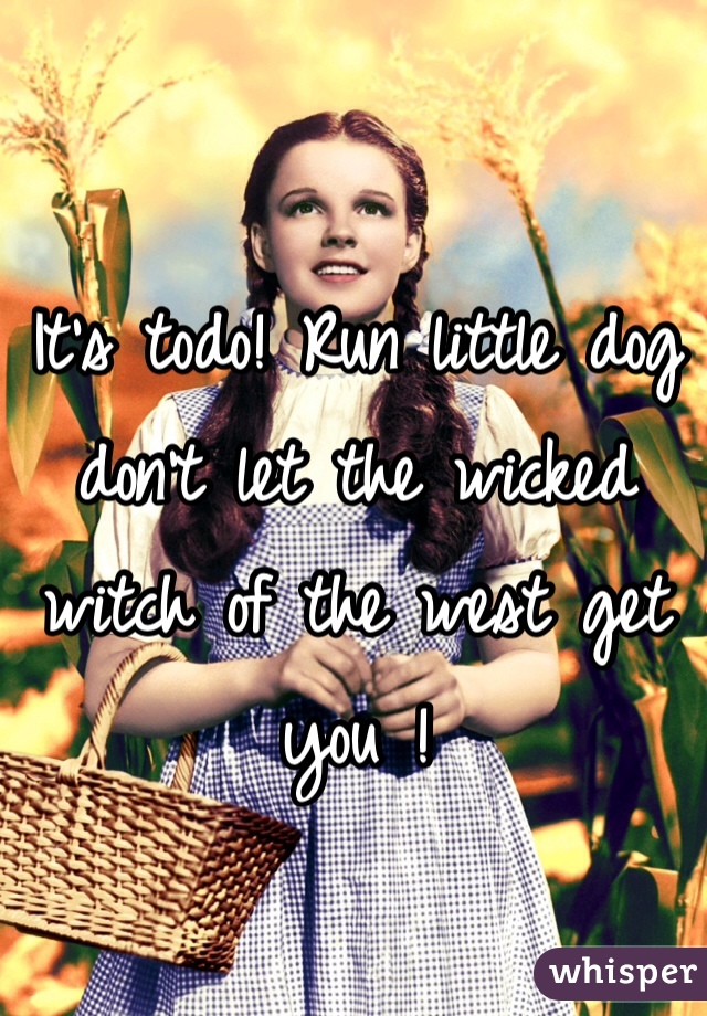 It's todo! Run little dog don't let the wicked witch of the west get you !
