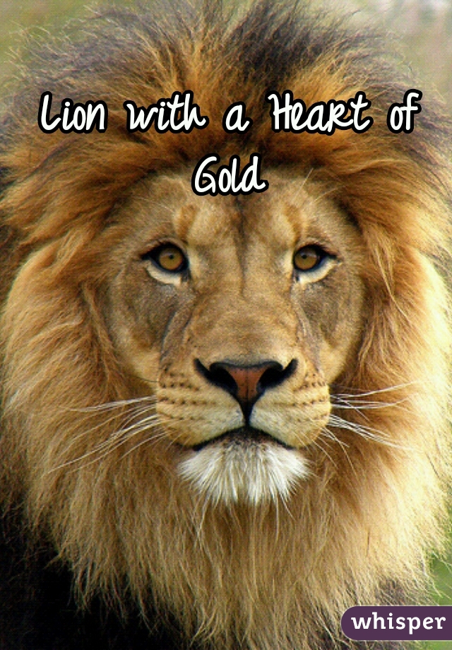 Lion with a Heart of Gold 