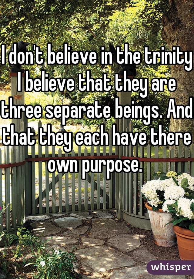 I don't believe in the trinity I believe that they are three separate beings. And that they each have there own purpose. 