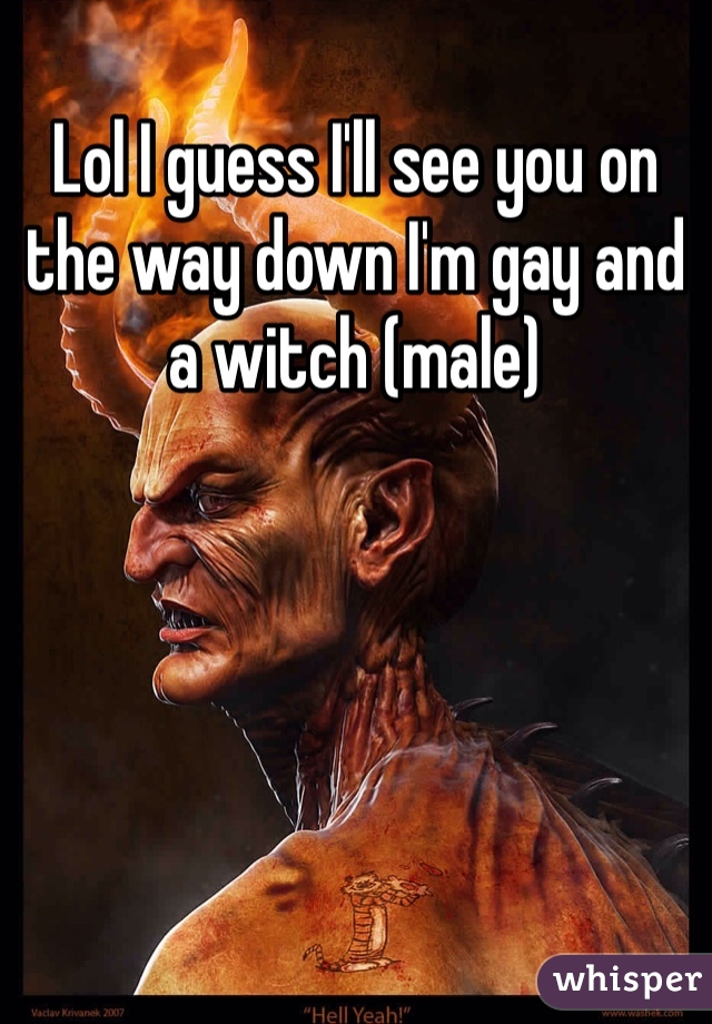 Lol I guess I'll see you on the way down I'm gay and a witch (male)