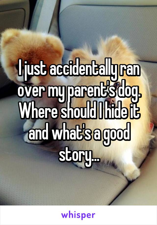 I just accidentally ran over my parent's dog. Where should I hide it and what's a good story...