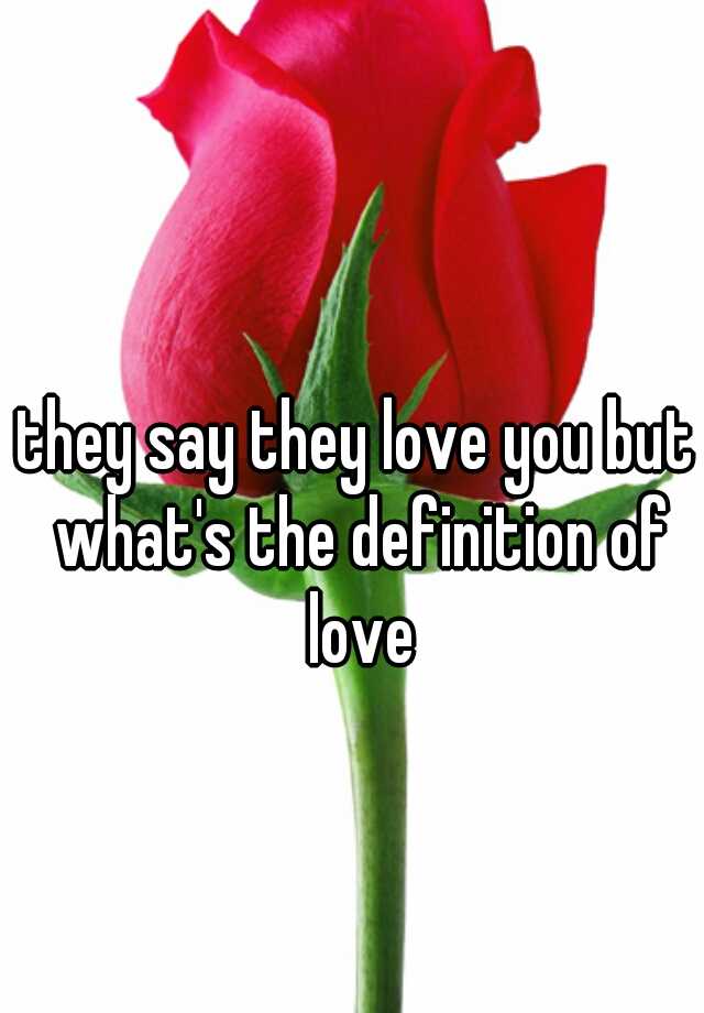 they-say-they-love-you-but-what-s-the-definition-of-love