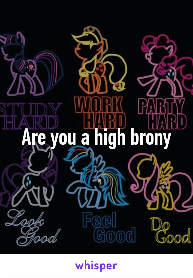 Are you a high brony