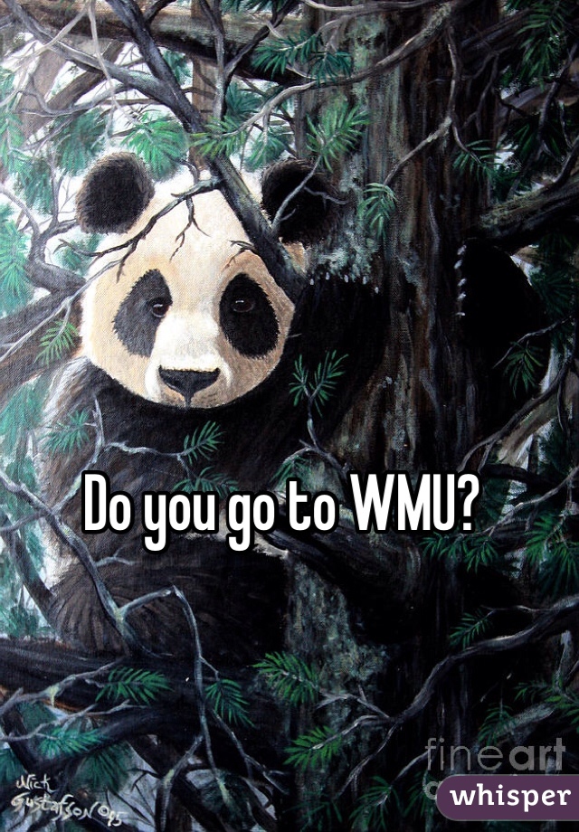 Do you go to WMU?