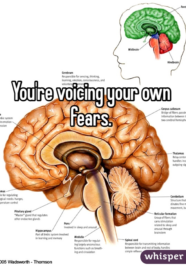 You're voicing your own fears.