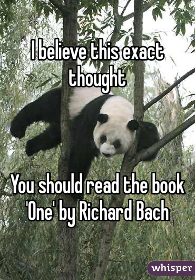 I believe this exact thought 



You should read the book 'One' by Richard Bach