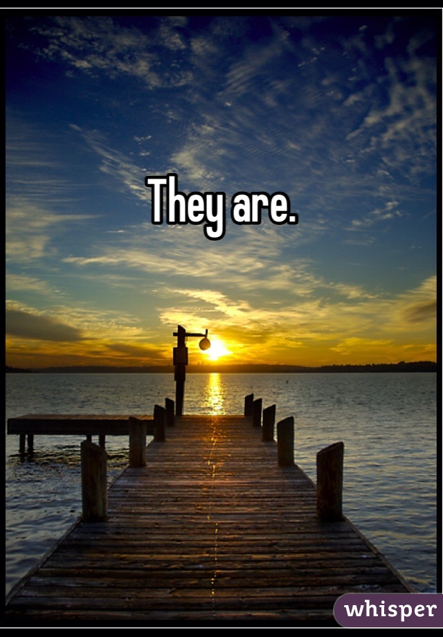 They are.