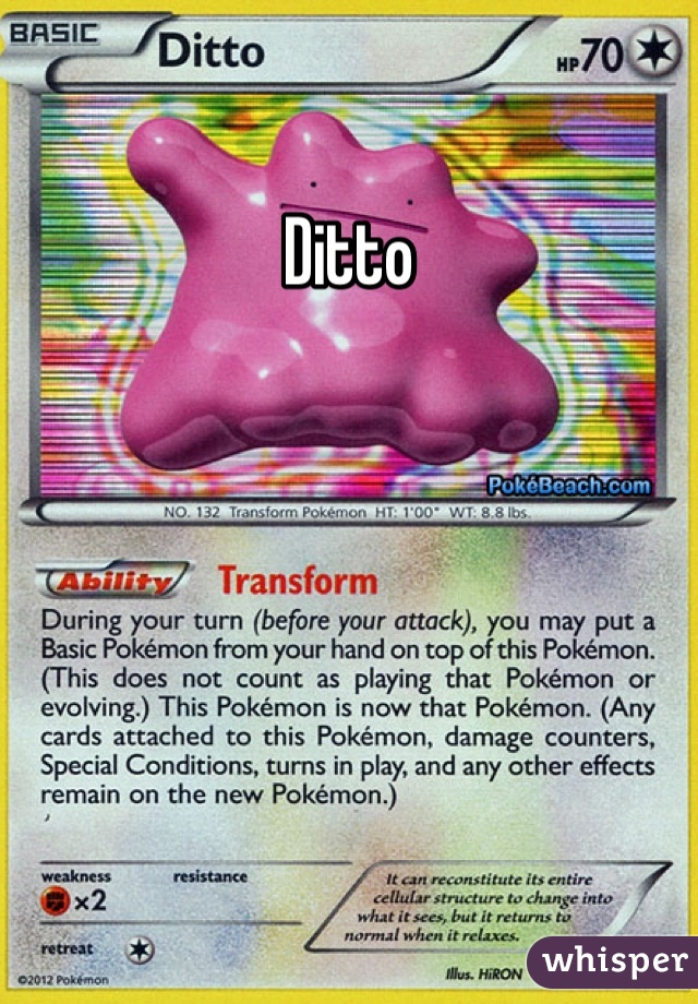 Ditto