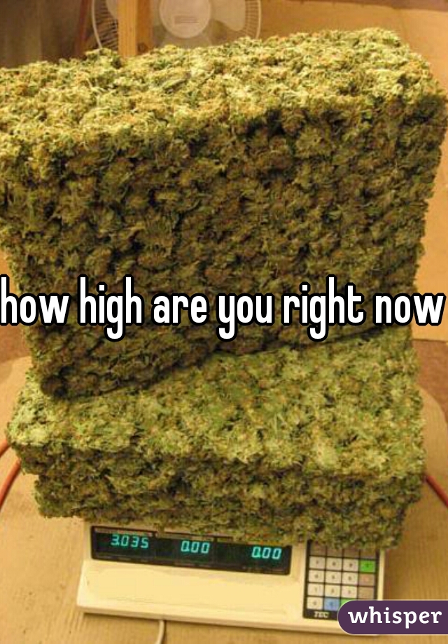 how high are you right now?