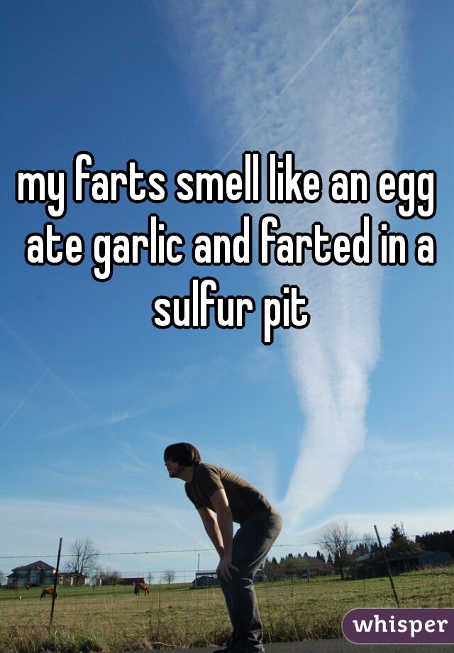 my farts smell like an egg ate garlic and farted in a sulfur pit