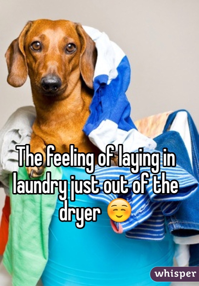 The feeling of laying in laundry just out of the dryer ☺️