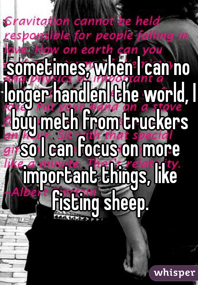 sometimes, when I can no longer handlenl the world, I buy meth from truckers so I can focus on more important things, like fisting sheep.