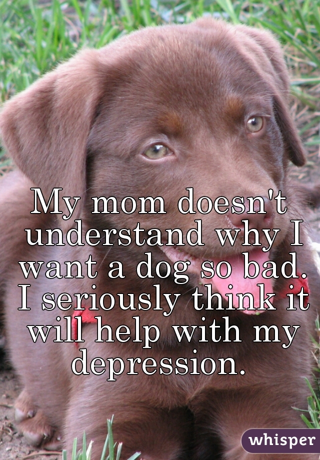 My mom doesn't understand why I want a dog so bad. I seriously think it will help with my depression. 