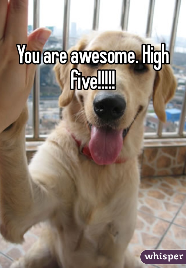 You are awesome. High five!!!!!