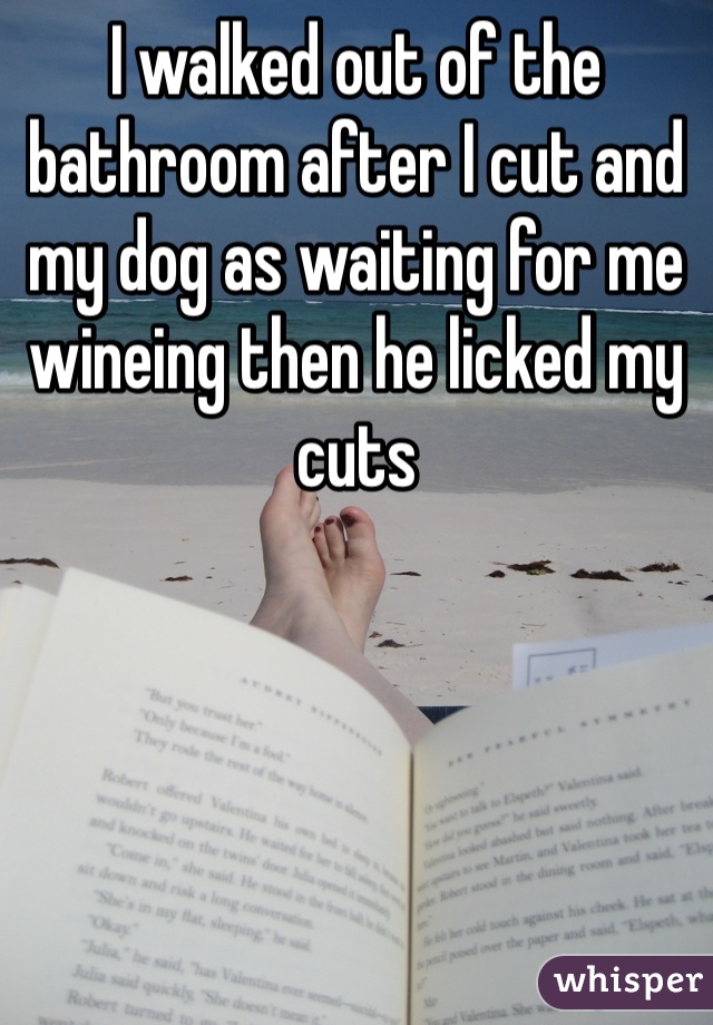 I walked out of the bathroom after I cut and my dog as waiting for me wineing then he licked my cuts
