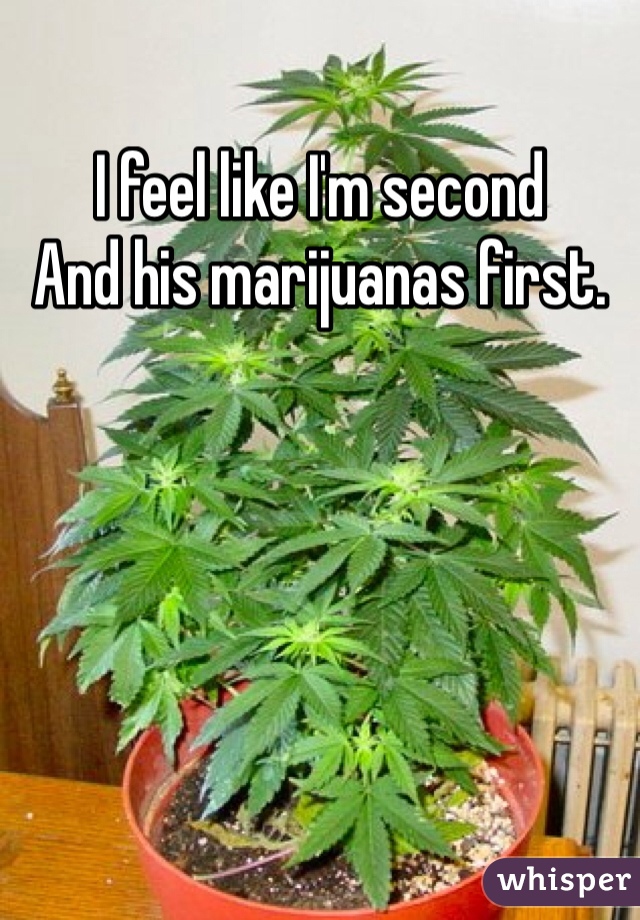 I feel like I'm second
And his marijuanas first. 