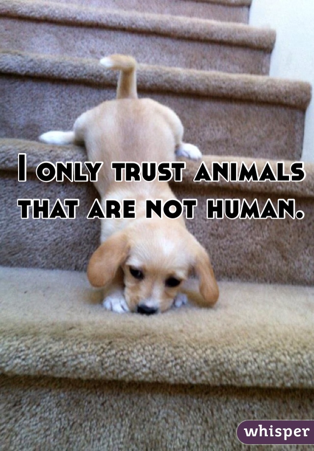 I only trust animals that are not human.