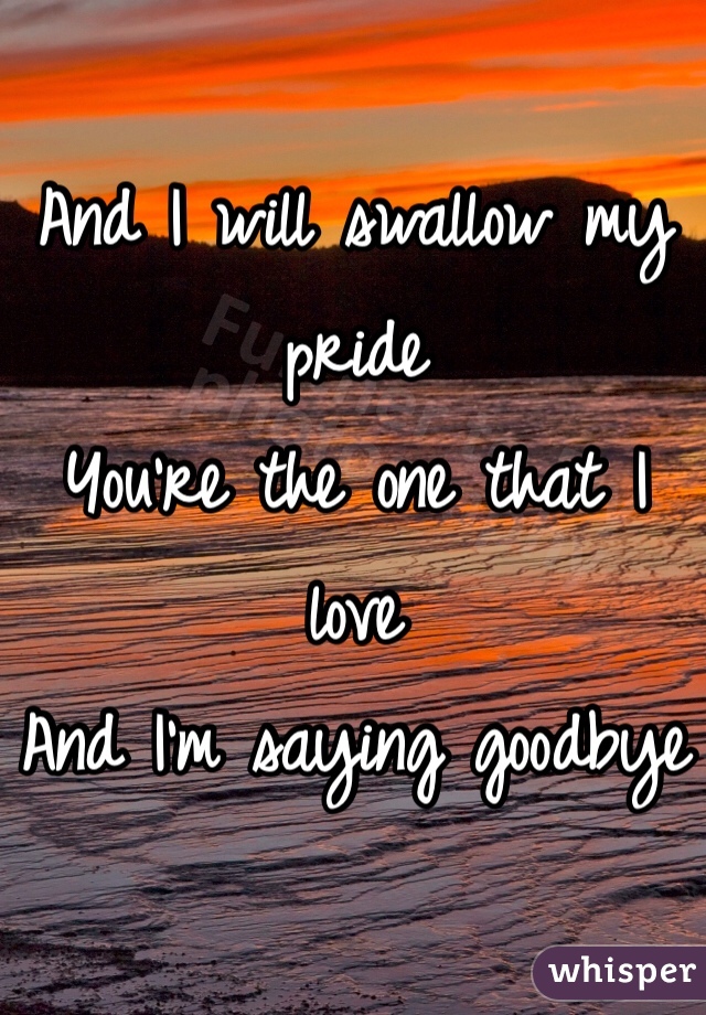 And I will swallow my pride
You're the one that I love
And I'm saying goodbye